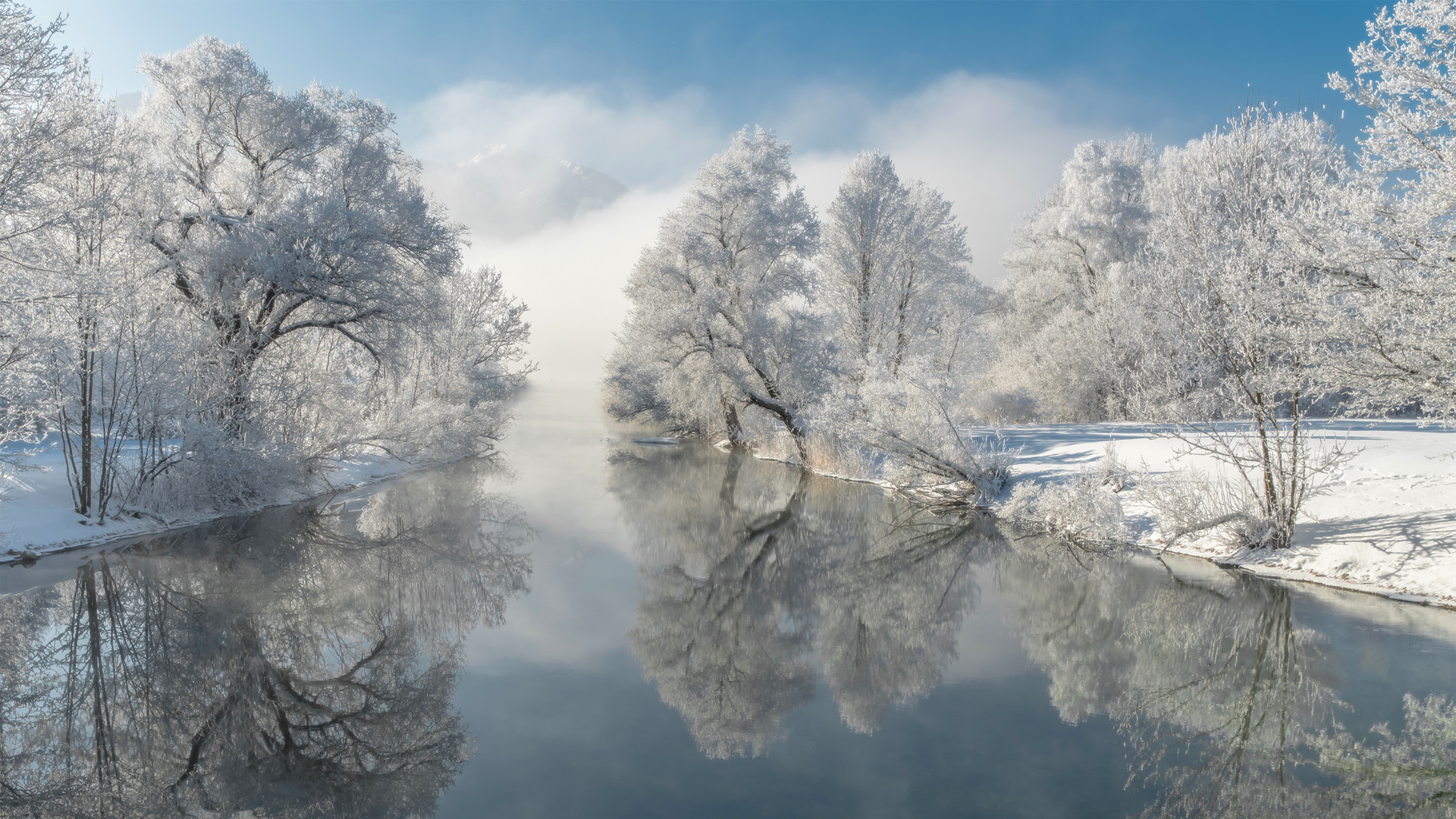 《吾师》第一卷 1-红桃子